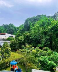 Natura@Hillview (D23), Apartment #566638201